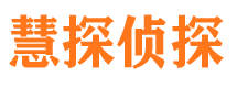 武都市私家侦探